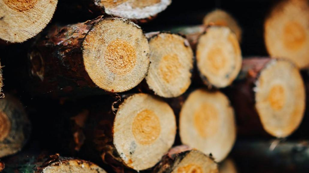 HMI; HMI; ̬; HMI̬; HMI; HMIԶ̼; HMI; ˻̬; ̬Щ; ̬Щ